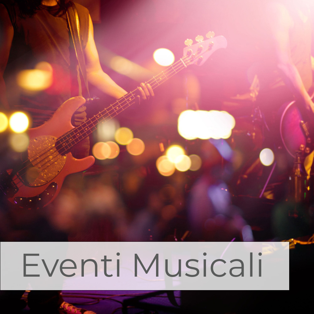 CLOSEUP SU UNA CHITARRA AD UN CONCERTO